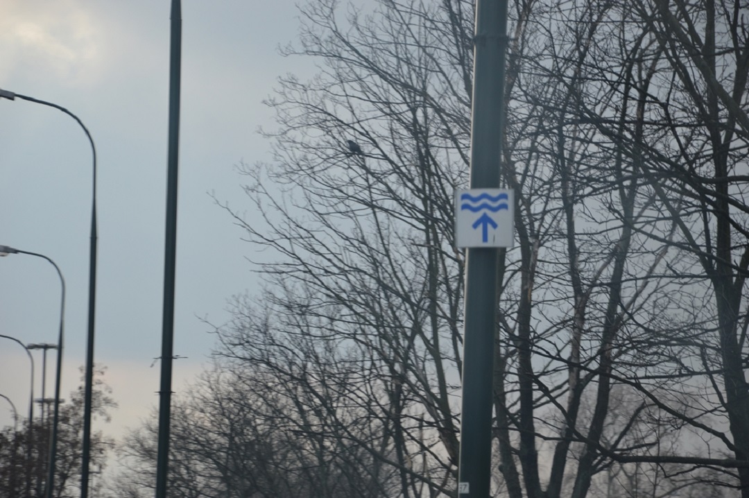 Znak informacyjny prostopałości kierunku jazdy do rzeki Wisły w Warszawie